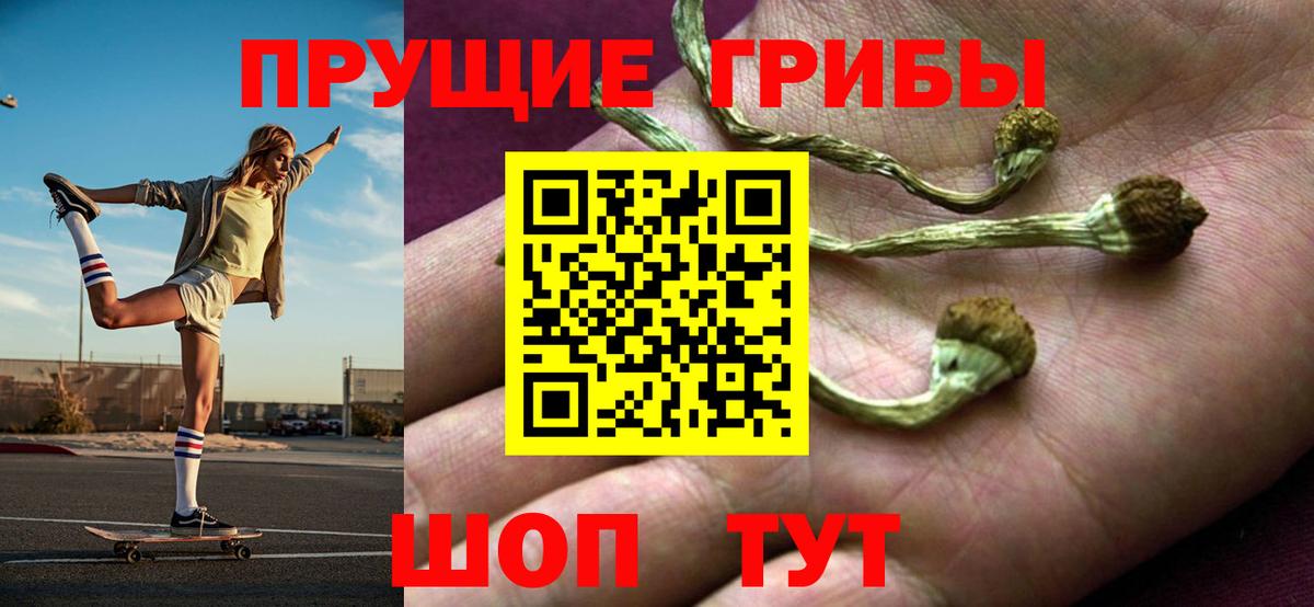 Псилоцибиновые грибы GOLDEN TEACHER Ярцево